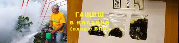 прущие грибы Наволоки
