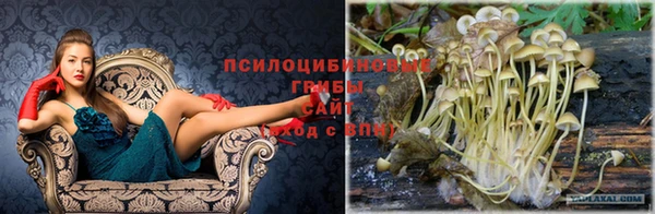 мяу мяу мука Алексин