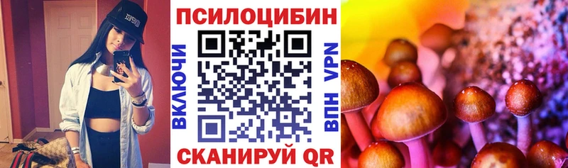 Псилоцибиновые грибы GOLDEN TEACHER  купить закладку  Фролово 