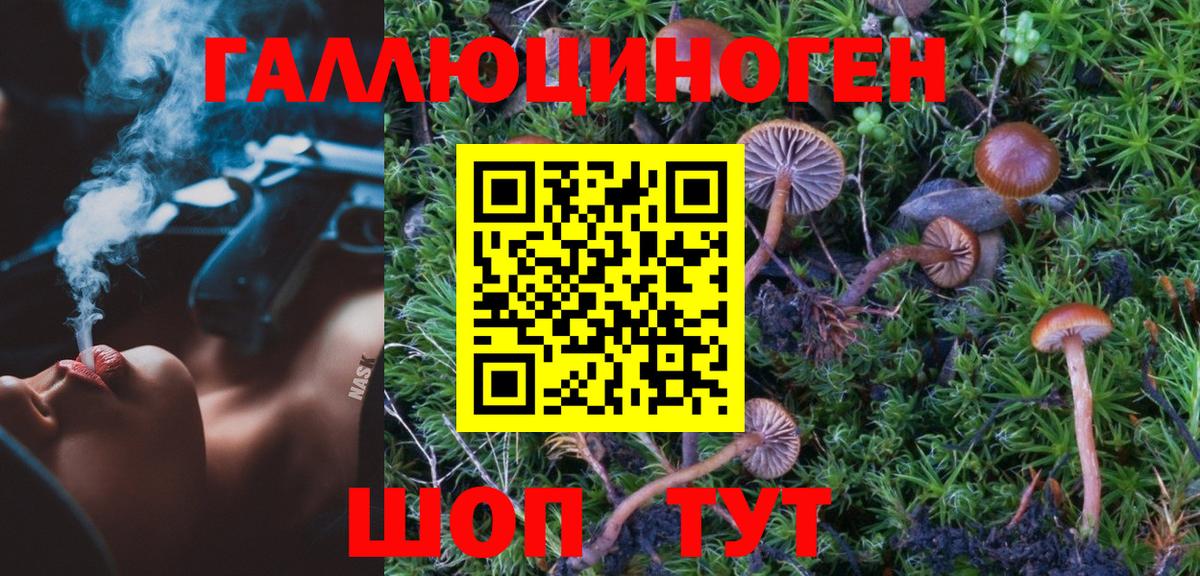 Галлюциногенные грибы мицелий Фролово